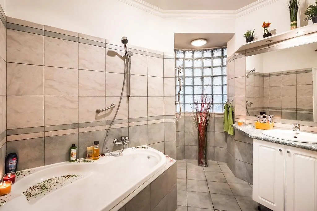 Dr. House Apartment Budapeszt 0*,